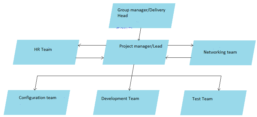 Project organization structure